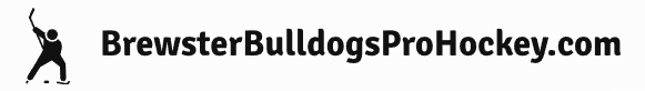 BrewsterBulldogsProHockey.com – Hockey Betting